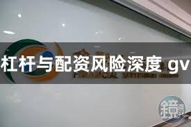 杠杆与配资风险深度 gv