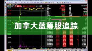 加拿大蓝筹股追踪